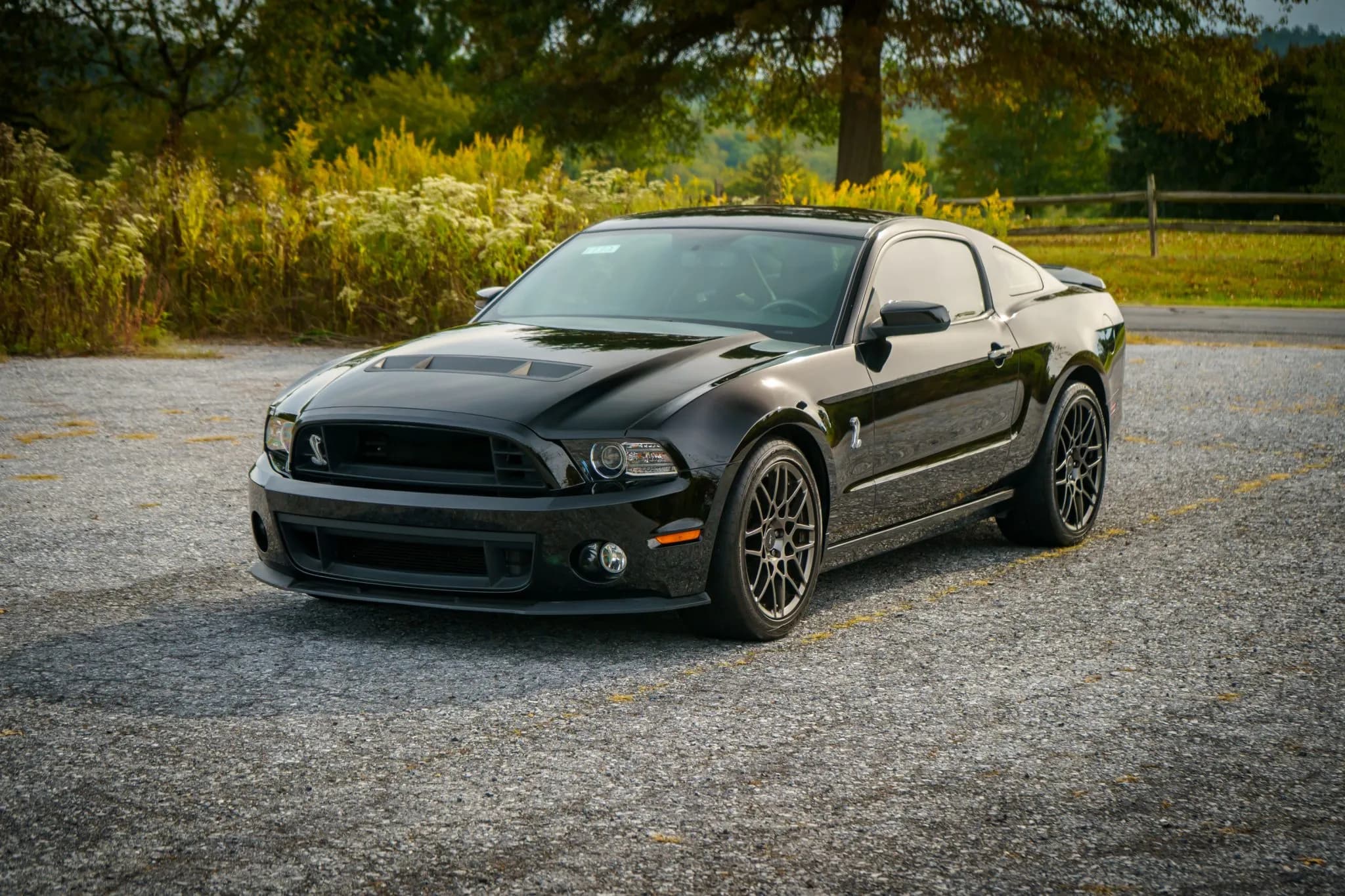 2013 Ford Mustang Shelby — photograph 1